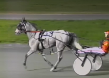 Grey Sea super in BC-bred Stake