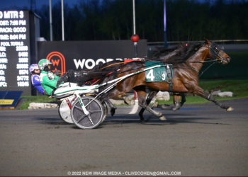 Patriarch Hanover takes Mohawk trotting throne