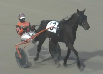 Bucktober bounces back for Preferred victory