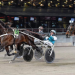 Hail Mary scores touchdown at Solvalla