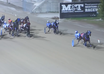 Exotic Dragon turns the table in London F&M Preferred