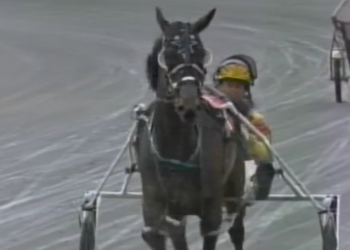 In High Cotton blows them away