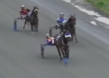 11 straight for Outlaw C My Shadow