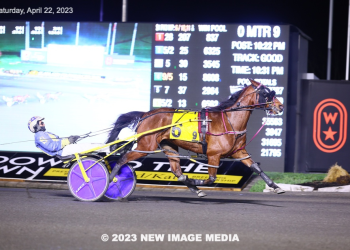 Saulsbrook Victor back at best in $42,000 Free For All