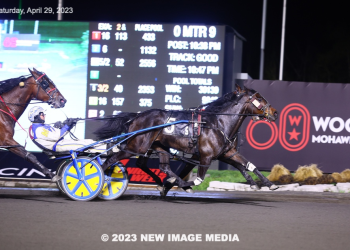 So Much More toughest in Preferred-2