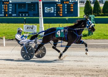 Imprincessgemma A wires the field in Open