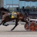 Aggressive steer the key in Meadows feature