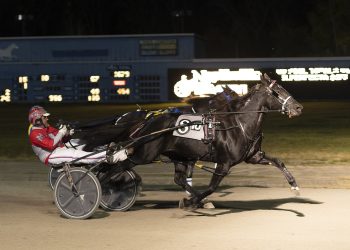 Second straight Open win for Lying In Cash