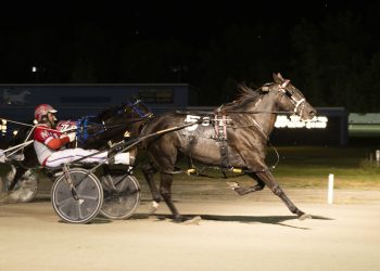 Lying In Cash grabs the dough at Northville