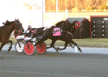 Large trackside card for Plainridge Park opening