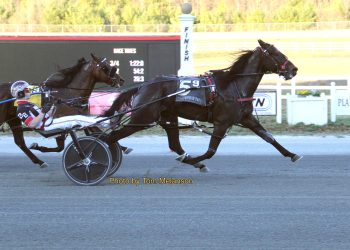 Plainridge features to Team Beckwith