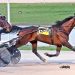 Trotters share the limelight at Miami Valley
