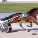 Half-sisters finish 1-2 in $50,000 Hackett Memorial