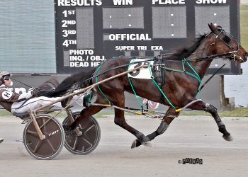 Owens Memorial goes to top pacing filly