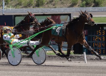 Sweet Lou filly blitzes home in Ruby Cook Memorial