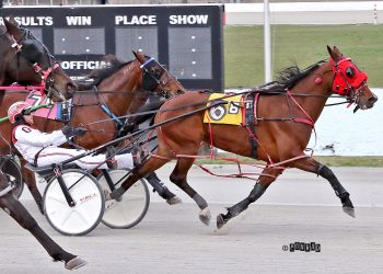 Velocity Lady speedy in Mares Open