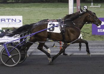 SRF kicks off series Friday at Big M