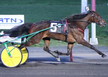 Tetrick quadruples at Big M