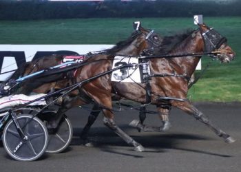 Big performances in Big M Opens