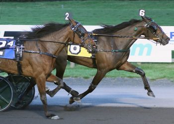 Gingras sweeps $40,000 SRF Series finals