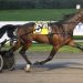 Takter’s hot month continues at Big M