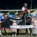 Queensland harness racing wrap 4 Queensland harness racing wrap
