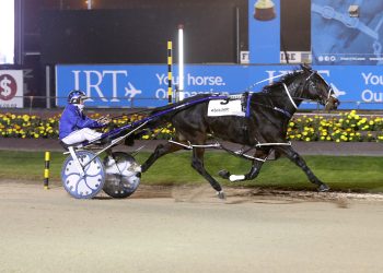 Anything Goes powers up to win at Addington