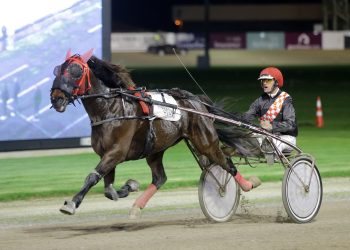 Confessional repents with dominant G2 Sires Stakes success