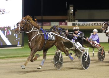 Love N The Group One win