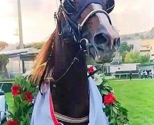 Vernissage Grif powers to 660,000€ 74th GP Lotteria triumph