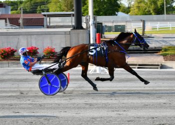 Berry duo take Open Trot at Harrington