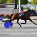 Berry duo take Open Trot at Harrington