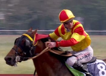 120,000€ Gr II monte test held at Caen