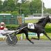 AHDC Trot action at Freehold Raceway
