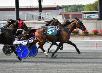 Sprocket with mild upset at Harrington