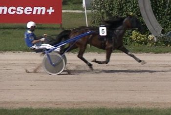 Zitti Tutti wins Allyhills Hico DIJ at Kincsem Park