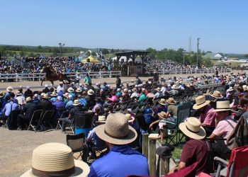 No $1 million seller this year at Mid-Ohio Trotting Sale