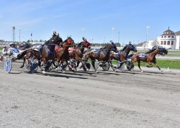 Six-horse photo finish at Hippodrome 3R