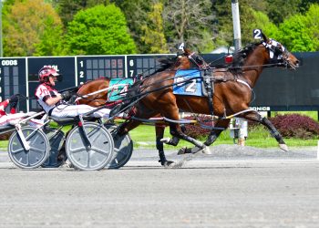 Career marks set in Virginia O’Brien Series