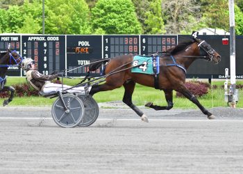 Esa wires the field in Open-Handicap Trot