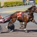 People power gets Dannielle Veivers in Trot Rods finale