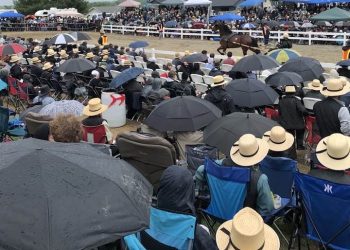 Getting ready for huge Amish Standardbred Sale