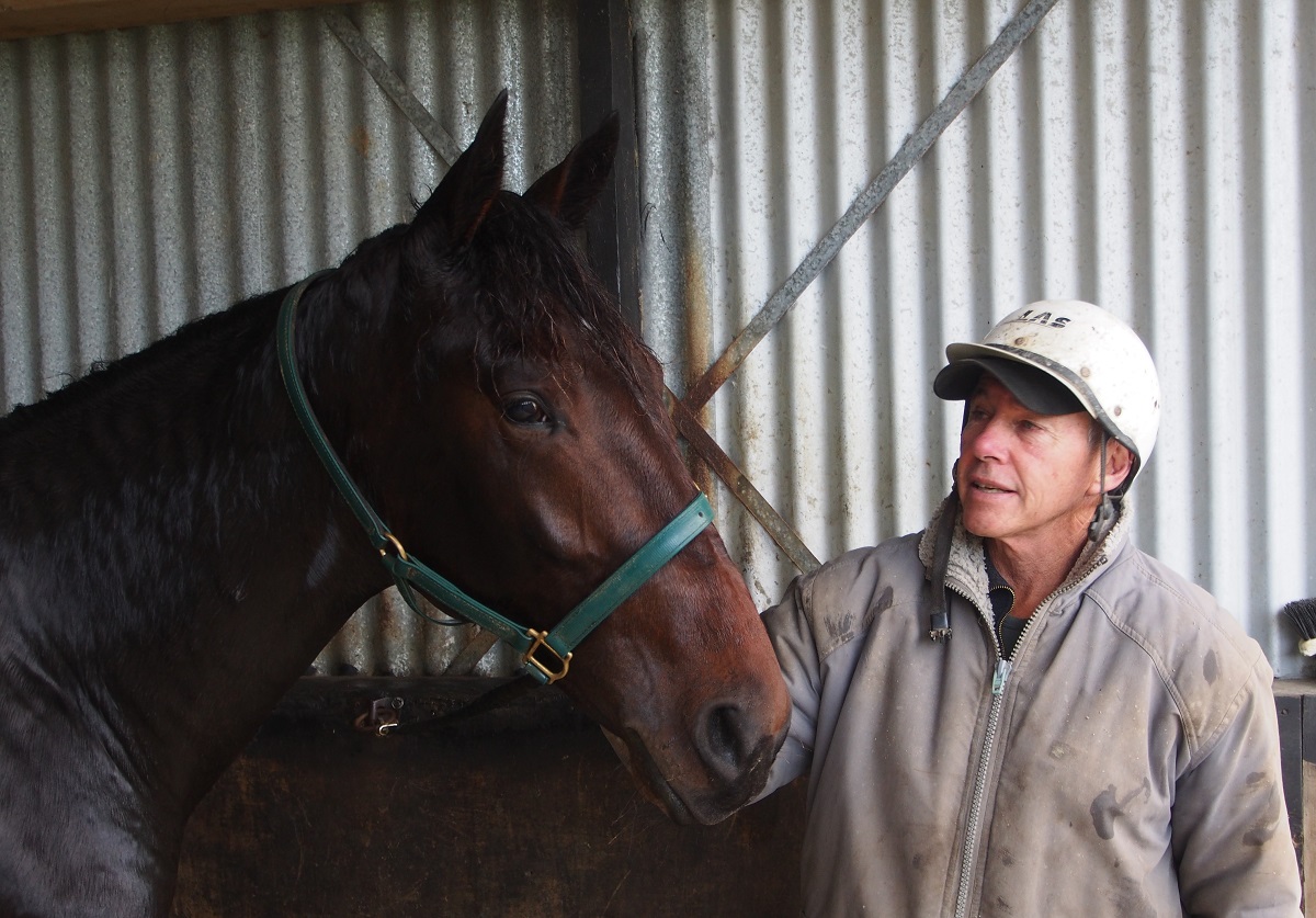 Murray Gibbs – CD horse trainer – Harnesslink