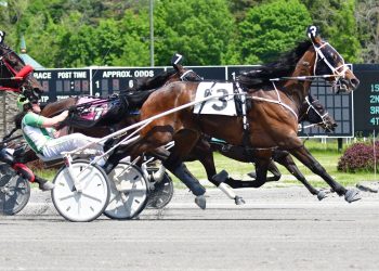 Quick finish gets Big Box Hanover home at Saratoga