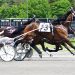 Quick finish gets Big Box Hanover home at Saratoga 2 Quick finish gets Big Box Hanover home at Saratoga