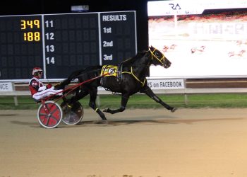 Bordogna victorious in inaugural Hakamaa Memorial