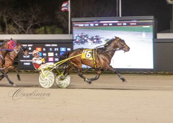 $19,000 co-features to Carolina Beach, Eye Ofa Tiger As