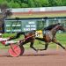 Jake Huff Stable scores again with Holy Being