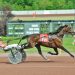 Yonkers invader takes record in Preferred Trot 2 Yonkers invader takes record in Preferred Trot