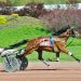 Pocono feature trot won in a romp 1 Pocono feature trot won in a romp